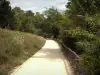 Parc départemental de l'Île-Saint-Denis - Allée de promenade dans un cadre verdoyant