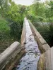 Parc départemental du Morbras - Au fil de l'eau