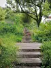 Parc départemental du Morbras - Escalier en bois bordé de fleurs