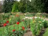 Parc Floral de la Source - Jardin de dahlias (dahlias en fleurs)