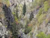 Parc National des Écrins - Oisans - Massif des Écrins : parois rocheuses et arbres