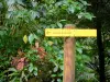 Parc National de la Guadeloupe - Végétation tropicale et panneau indiquant la direction pour se rendre à la Maison de la Forêt