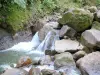 Parc National de la Guadeloupe - Rivière du Grand Carbet se faufilant entre les rochers