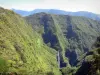 Parc National de La Réunion - Vue sur la cascade du Trou de Fer et son environnement sauvage