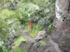 Parc National de La Réunion - Sentier de randonnée du cirque de Cilaos montant au col du Taïbit