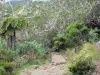 Parc National de La Réunion - Sentier de randonnée au coeur du cirque naturel de Mafate