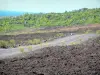 Parc National de La Réunion - Route des Laves bordée de coulées volcaniques et de végétation