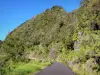 Parc National de La Réunion - Cirque de Salazie : paysage le long de la route du Bélier