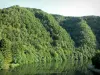 Parc Naturel Régional des Ardennes - Vallée de la Meuse - Massif ardennais : site des Dames de Meuse, à Laifour, dominant le fleuve, et Voie Verte Trans-Ardennes longeant le cours d'eau