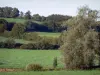 Parc Naturel Régional de l'Avesnois - Prairies, haies et arbres (bocage)