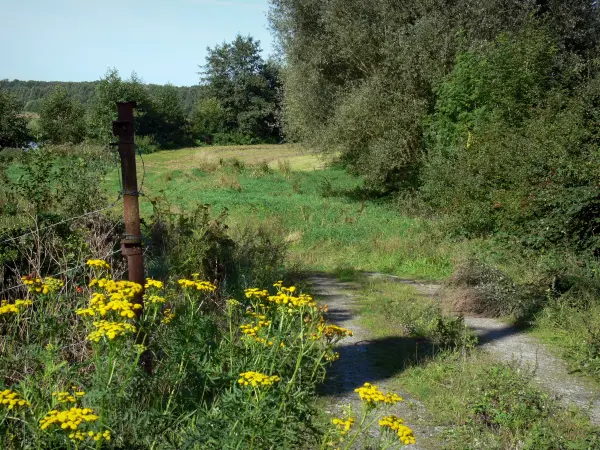 Le Parc Naturel Régional de l'Avesnois - Guide tourisme, vacances & week-end dans le Nord