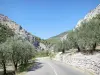 Parc Naturel Régional des Baronnies Provençales - Route bordée d'oliviers et de parois rocheuses dans les gorges d'Ubrieux