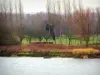 Parc Naturel Régional des Boucles de la Seine Normande - Fleuve (la Seine), rive, prairie et arbres