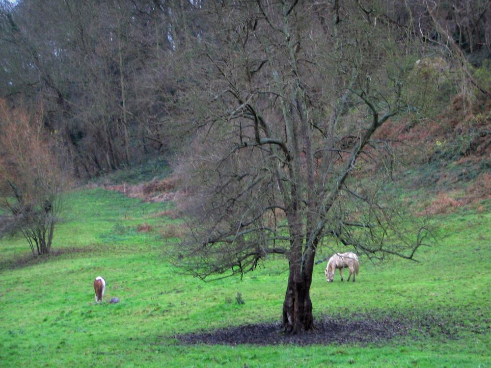 Photos Le Parc Naturel Régional des Boucles de la Seine Normande Guide Tourisme & Vacances