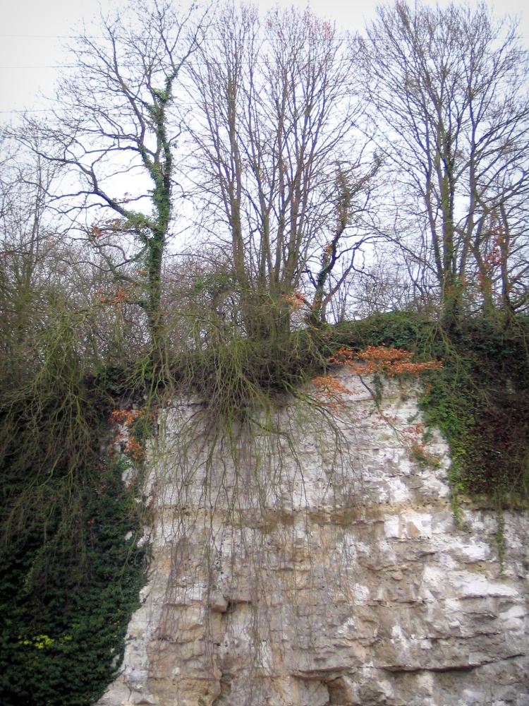 Photos Le Parc Naturel Régional des Boucles de la Seine Normande Guide Tourisme & Vacances