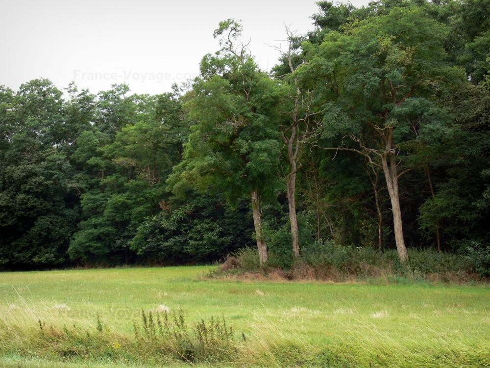 Photos Le Parc Naturel Régional du Gâtinais Français Guide Tourisme & Vacances Photos Le Parc Naturel Régional du Gâtinais Français Guide Tourisme & Vacances