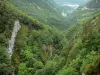Parc Naturel Régional du Haut-Jura - Gorges du Flumen, arbres