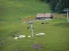 Parc Naturel Régional du Haut-Jura - Station de ski des Rousses en été : télésiège (remontée mécanique), troupeau de vaches, alpage (pâturage), chalet et sapins (arbres)