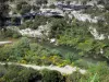 Parc Naturel Régional du Haut-Languedoc - Parois rocheuses, arbustes, rivière et genêts en fleurs