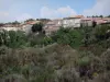 Parc Naturel Régional du Haut-Languedoc - Maisons d'un village, arbres et arbustes
