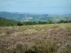 Parc Naturel Régional du Haut-Languedoc - Arbustes en fleurs avec vue sur les monts de Lacaune