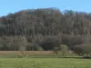 Parc Naturel Régional de la Haute Vallée de Chevreuse - Arbres et pâturages