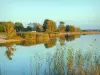 Parc Naturel Régional de Lorraine - Lac de Madine