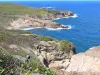 Parc Naturel Régional de la Martinique - Réserve naturelle de la presqu'île de la Caravelle : côte rocheuse et océan Atlantique