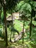Parc Naturel Régional de la Martinique - Passerelle au coeur de la forêt tropicale menant à la cascade du Saut-Gendarme