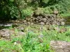 Parc Naturel Régional de la Martinique - Rivière au coeur de la forêt tropicale