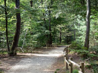 Photos Parc Naturel Régional De La Montagne De Reims 6