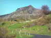Parc Naturel Régional des Monts d'Ardèche - Montagne ardéchoise : route bordée de prés avec vue sur le mont Mézenc
