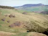 Parc Naturel Régional des Monts d'Ardèche - Forêts dominant des pâturages parsemés d'arbres