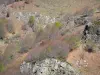 Parc Naturel Régional des Monts d'Ardèche - Rochers et arbres