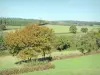 Parc Naturel Régional du Morvan - Bocage du Morvan avec ses haies, ses arbres et ses prairies