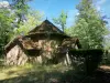 Parc Naturel Régional Oise - Pays de France - Pavillon de thé au parc du château de la Borne Blanche