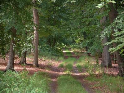 Le Parc Naturel Régional Oise Pays de France Guide