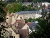 Parc Naturel Régional du Perche - Arbres, bâtiments et maisons de la ville de Nogent-le-Rotrou