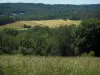 Parc Naturel Régional Périgord-Limousin - Herbes hautes en premier plan, arbres, champs avec des bottes de paille et forêt