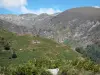 Parc Naturel Régional des Pyrénées Ariégeoises - Vue sur les montagnes