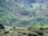 Le Parc Naturel Régional des Pyrénées Ariégeoises - Parc Naturel Régional des Pyrénées Ariégeoises: Étang de Lers et ses rives ; en Couserans, sur la commune de Le Port