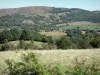 Parc Naturel Régional des Pyrénées Ariégeoises - Vue sur le village de Montels et les collines du Plantaurel