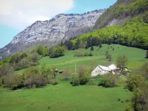 Parc Naturel Régional du Vercors - Massif du Vercors : pâturages, maisons, arbres et parois rocheuses