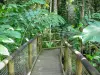 Parc zoologique et botanique des Mamelles - Parcours dans le jardin botanique tropical
