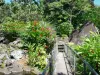 Parco archeologico delle incisioni rupestri - Gateway caos di rocce vulcaniche e vegetazione tropicale del parco