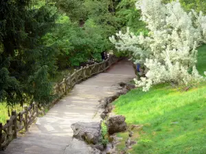 Parco di Buttes-Chaumont - Viale alberato