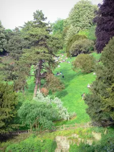 Parco di Buttes-Chaumont - Parco verde con molte specie di alberi