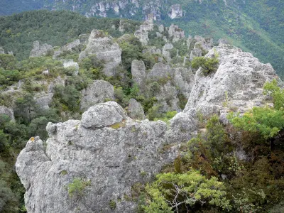 Parco Naturale Regionale dei Grands Causses