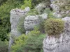 Il Parco Naturale Regionale dei Grands Causses - Guida turismo, vacanze e weekend nell'Aveyron