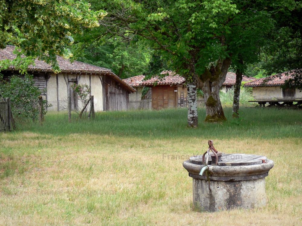 Il Parco Naturale Regionale delle Lande di Guascogna - Parco Naturale Regionale delle Lande di Guascogna: Prodotti Officina conifere Luxey - Ecomuseo della Grande Lande